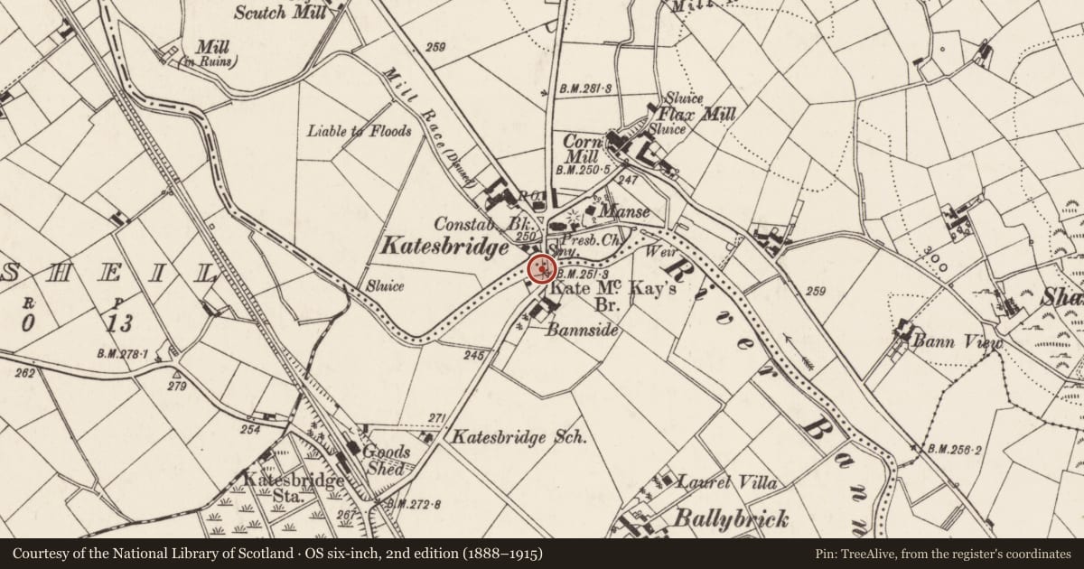 Ordnance Survey six-inch map, 2nd edition (1888–1915) covering the location of Kate McKay's Bridge, Ballybrick Shannaghan, Armagh City, Banbridge and Craigavon, with a pin at the register's coordinates
