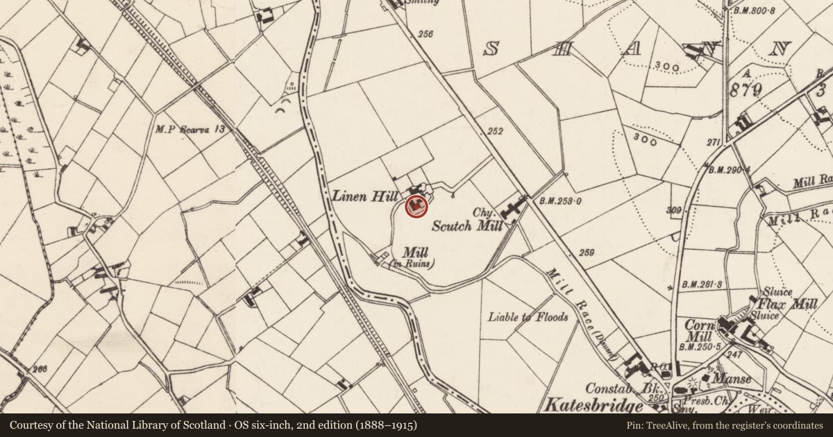 Ordnance Survey six-inch map, 2nd edition (1888–1915) covering the location of 1 Manse Road, Armagh City, Banbridge and Craigavon, with a pin at the register's coordinates