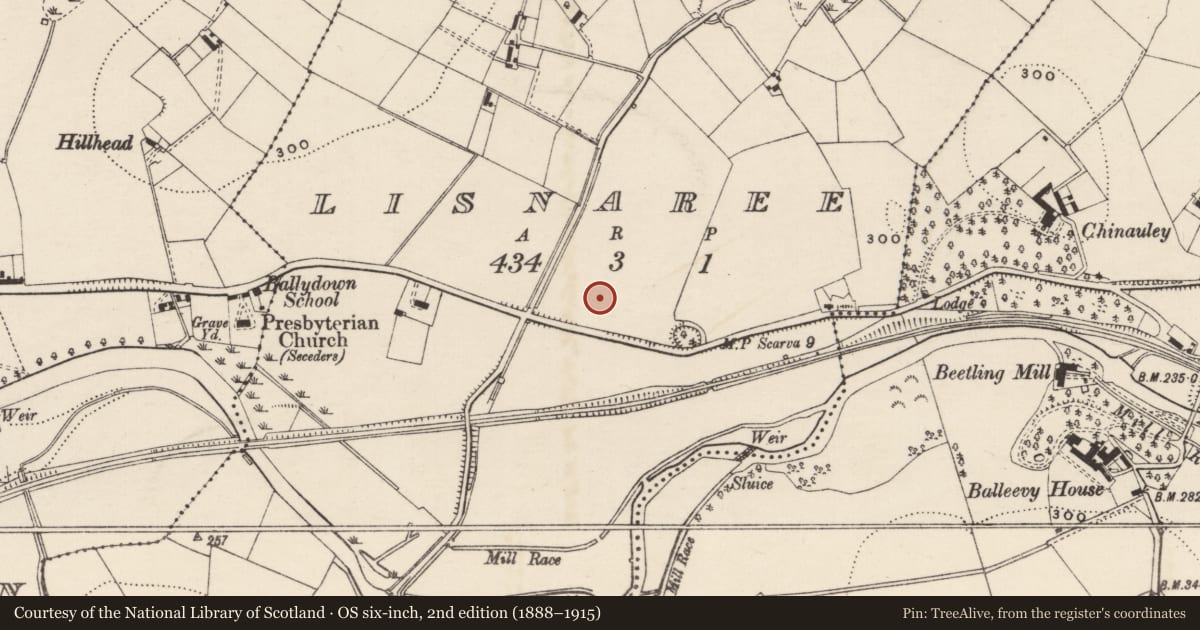 Ordnance Survey six-inch map, 2nd edition (1888–1915) covering the location of Ballydown Primary School, Armagh City, Banbridge and Craigavon, with a pin at the register's coordinates