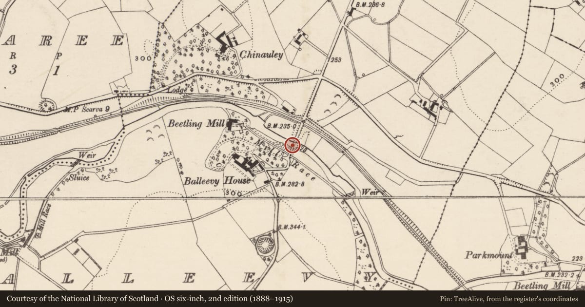 Ordnance Survey six-inch map, 2nd edition (1888–1915) covering the location of Ballievy Suspension Bridge, Armagh City, Banbridge and Craigavon, with a pin at the register's coordinates