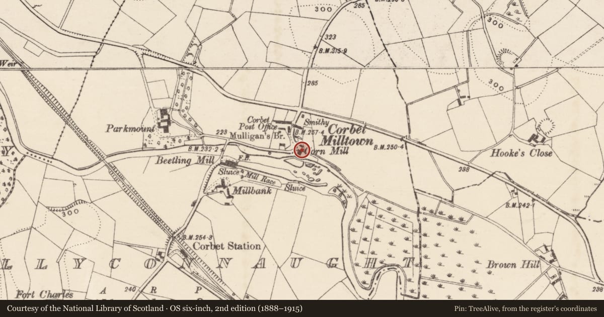 Ordnance Survey six-inch map, 2nd edition (1888–1915) covering the location of Tullycarnaught Orange Hall, Balleevy, Armagh City, Banbridge and Craigavon, with a pin at the register's coordinates