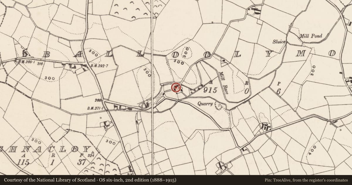 Ordnance Survey six-inch map, 2nd edition (1888–1915) covering the location of 8 Balloolymore Road, Ballyoolymore, Armagh City, Banbridge and Craigavon, with a pin at the register's coordinates