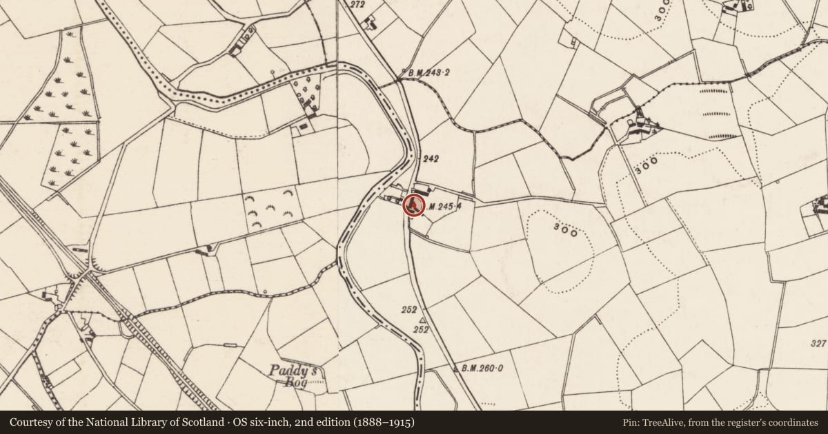 Ordnance Survey six-inch map, 2nd edition (1888–1915) covering the location of 20 Katesbridge Road, Shannaghan, Armagh City, Banbridge and Craigavon, with a pin at the register's coordinates