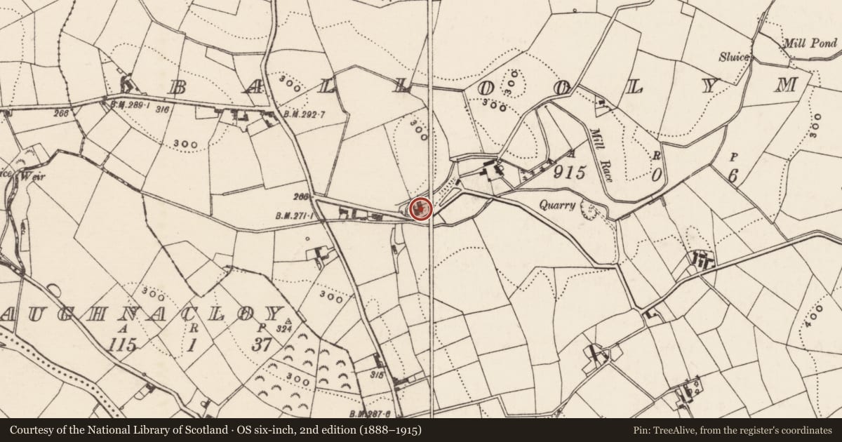 Ordnance Survey six-inch map, 2nd edition (1888–1915) covering the location of Near 3 Ballooleymore Rd, Balloolymore, Armagh City, Banbridge and Craigavon, with a pin at the register's coordinates