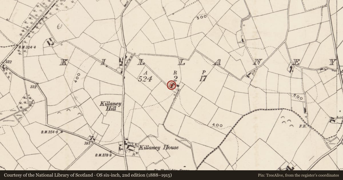 Ordnance Survey six-inch map, 2nd edition (1888–1915) covering the location of 99 Castlevennon Road, Killaney, Armagh City, Banbridge and Craigavon, with a pin at the register's coordinates
