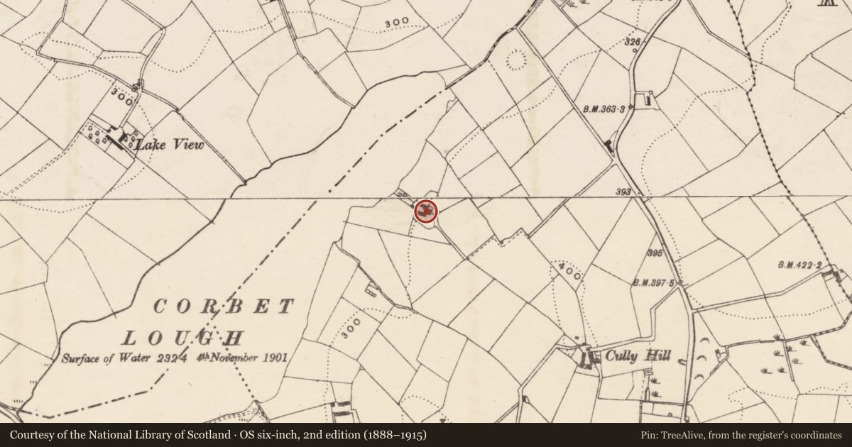 Ordnance Survey six-inch map, 2nd edition (1888–1915) covering the location of House adj 45 Corbet Road, Castlevennon, Armagh City, Banbridge and Craigavon, with a pin at the register's coordinates