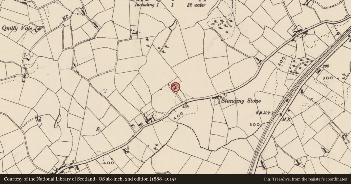 Ordnance Survey six-inch map, 2nd edition (1888–1915) covering the location of 42 Rowantree Road, Armagh City, Banbridge and Craigavon, with a pin at the register's coordinates