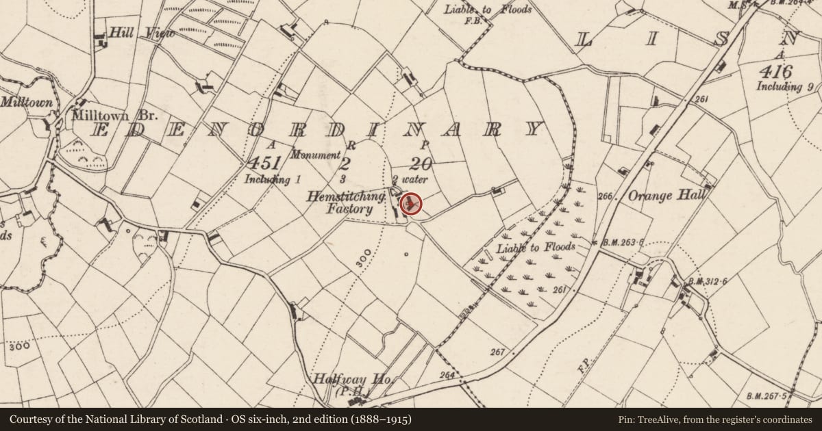 Ordnance Survey six-inch map, 2nd edition (1888–1915) covering the location of 98 Half-Way Road, Edenordinary, Armagh City, Banbridge and Craigavon, with a pin at the register's coordinates