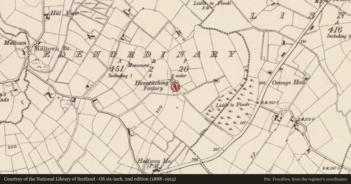 Ordnance Survey six-inch map, 2nd edition (1888–1915) covering the location of 98 Halfway Rd, Edenordinary, Armagh City, Banbridge and Craigavon, with a pin at the register's coordinates