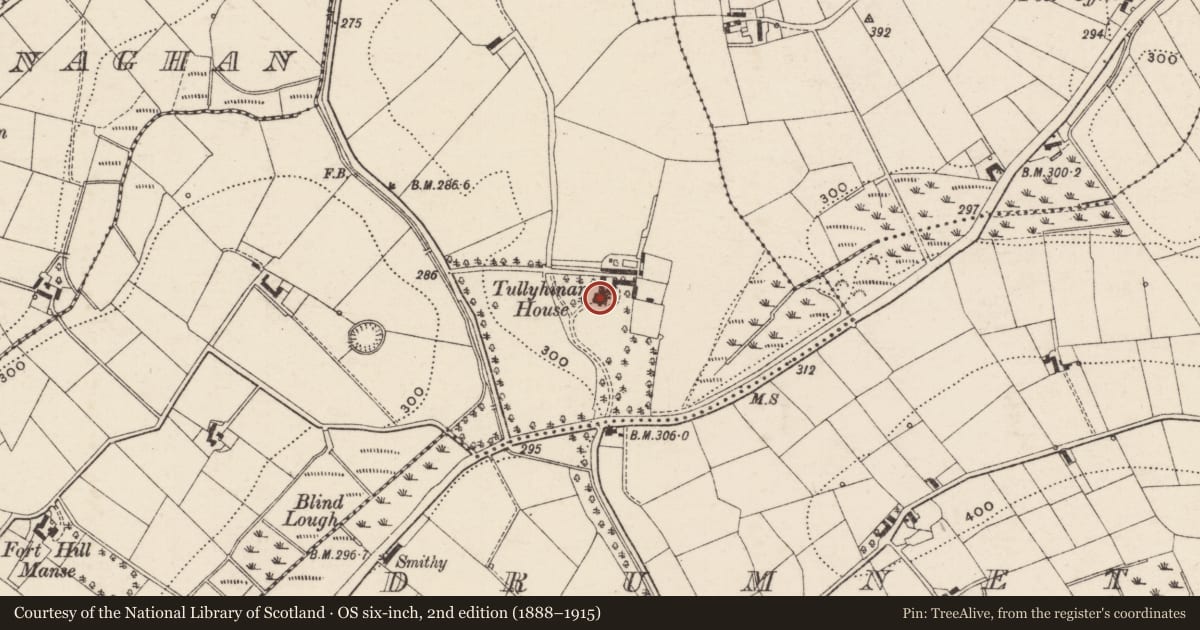 Ordnance Survey six-inch map, 2nd edition (1888–1915) covering the location of Tullyhinan House, Mullafernaghan, Armagh City, Banbridge and Craigavon, with a pin at the register's coordinates