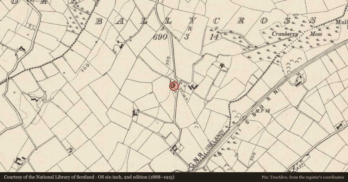 Ordnance Survey six-inch map, 2nd edition (1888–1915) covering the location of 18 Valley Road, Armagh City, Banbridge and Craigavon, with a pin at the register's coordinates