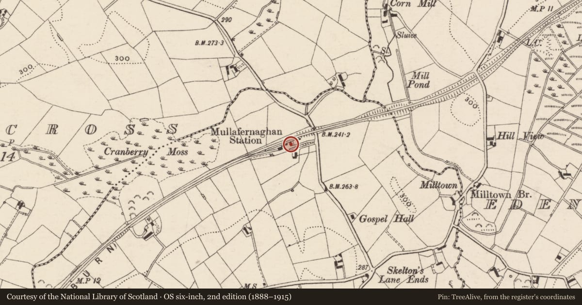 Ordnance Survey six-inch map, 2nd edition (1888–1915) covering the location of Mullafernaghan Station, Armagh City, Banbridge and Craigavon, with a pin at the register's coordinates