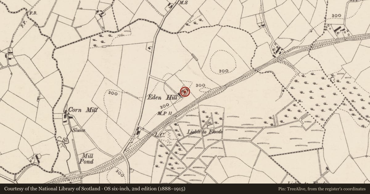 Ordnance Survey six-inch map, 2nd edition (1888–1915) covering the location of Eden Hill 35 Upper Quilly Road Banbridge Co Down BT25 1NP, Edenderry, Armagh City, Banbridge and Craigavon, with a pin at the register's coordinates