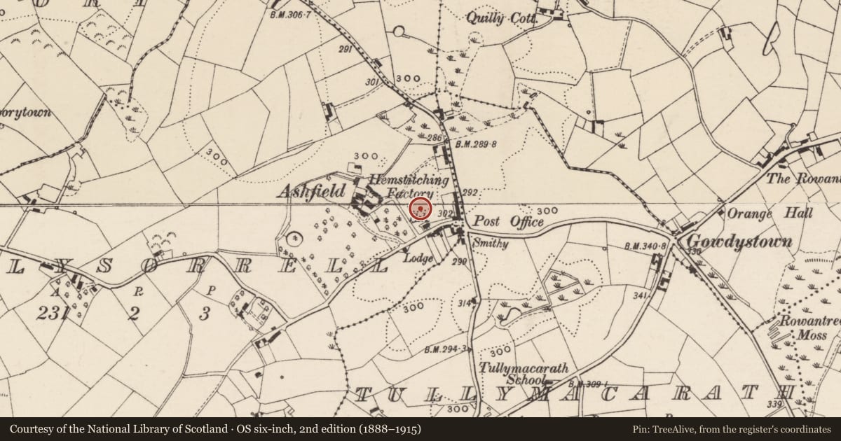 Ordnance Survey six-inch map, 2nd edition (1888–1915) covering the location of 40 Killysorrel Road, Armagh City, Banbridge and Craigavon, with a pin at the register's coordinates