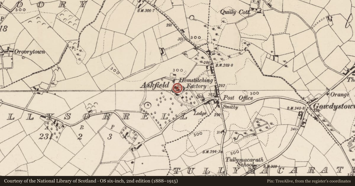 Ordnance Survey six-inch map, 2nd edition (1888–1915) covering the location of Ashfield House Outbuildings, Killysorrel, Armagh City, Banbridge and Craigavon, with a pin at the register's coordinates