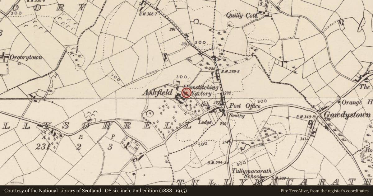 Ordnance Survey six-inch map, 2nd edition (1888–1915) covering the location of Former Factory, Killysorrell, Armagh City, Banbridge and Craigavon, with a pin at the register's coordinates