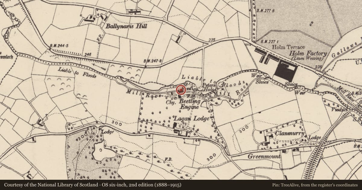Ordnance Survey six-inch map, 2nd edition (1888–1915) covering the location of Bleach Works, Armagh City, Banbridge and Craigavon, with a pin at the register's coordinates