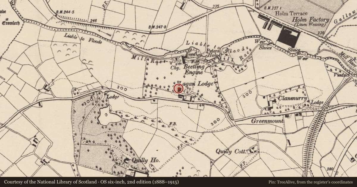Ordnance Survey six-inch map, 2nd edition (1888–1915) covering the location of Lagan Lodge, 26 Lower Quilly Road, Dromore, Banbridge, Co Down, BT25 1NL, Armagh City, Banbridge and Craigavon, with a pin at the register's coordinates