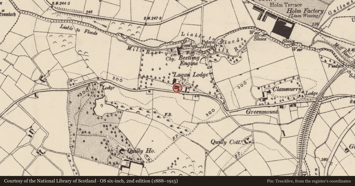 Ordnance Survey six-inch map, 2nd edition (1888–1915) covering the location of Outbuildings, Lagan Lodge, 26 Lower Quilly Road, Dromore, Banbridge, Co Down, BT25 1NL, Armagh City, Banbridge and Craigavon, with a pin at the register's coordinates