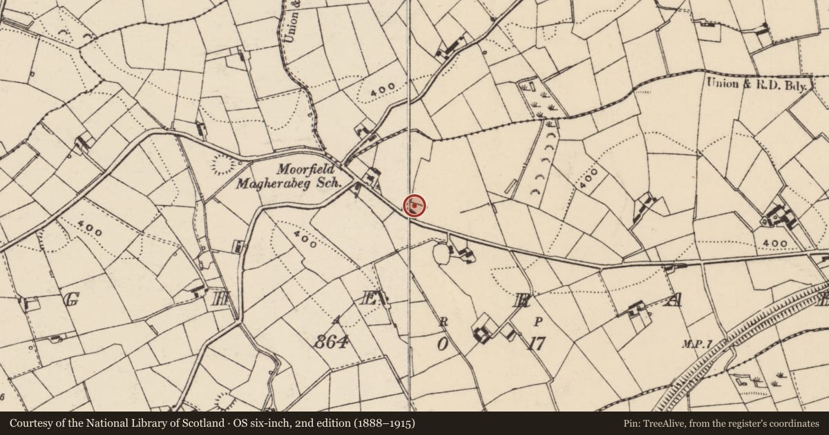 Ordnance Survey six-inch map, 2nd edition (1888–1915) covering the location of Magherabeg Road, Armagh City, Banbridge and Craigavon, with a pin at the register's coordinates
