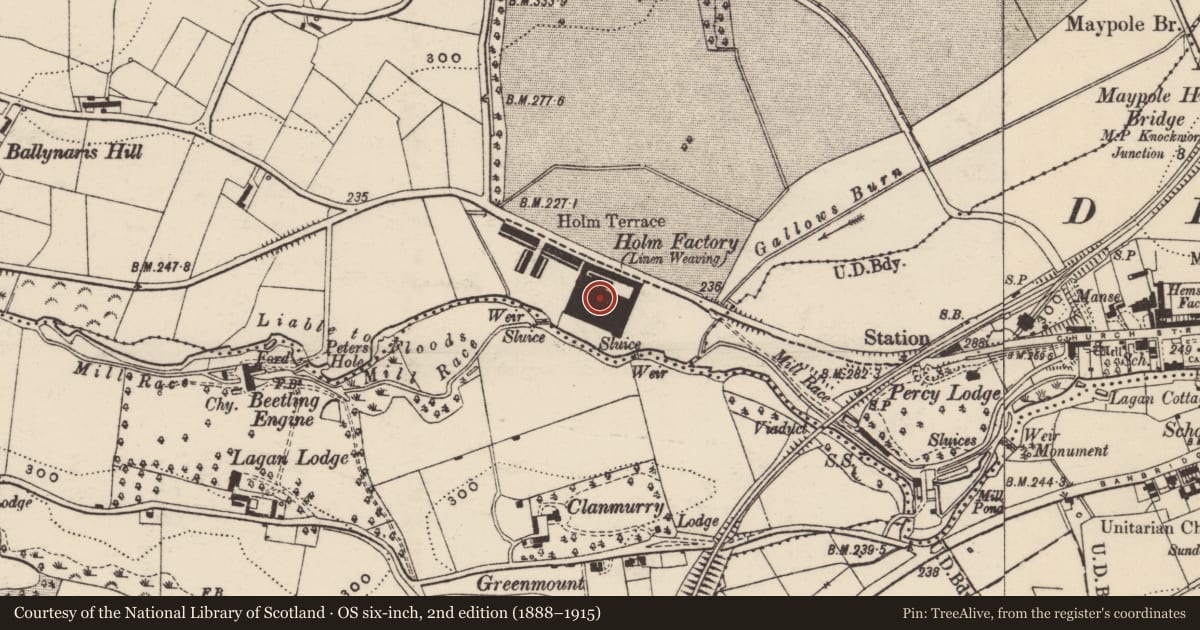Ordnance Survey six-inch map, 2nd edition (1888–1915) covering the location of Holm Factory, Armagh City, Banbridge and Craigavon, with a pin at the register's coordinates