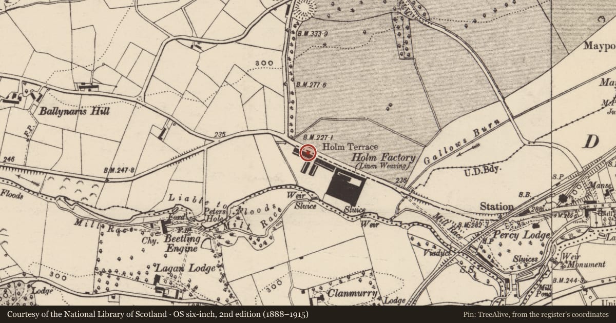 Ordnance Survey six-inch map, 2nd edition (1888–1915) covering the location of Holm Terrace, Armagh City, Banbridge and Craigavon, with a pin at the register's coordinates