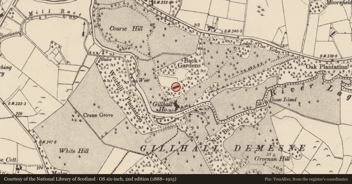 Ordnance Survey six-inch map, 2nd edition (1888–1915) covering the location of Stables, Quilly, Armagh City, Banbridge and Craigavon, with a pin at the register's coordinates