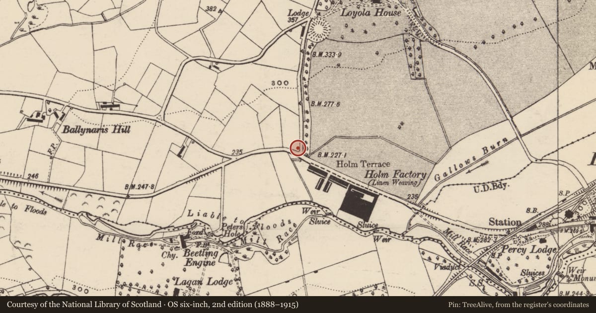 Ordnance Survey six-inch map, 2nd edition (1888–1915) covering the location of Pump at Holm Terrace, Ballynaris, Armagh City, Banbridge and Craigavon, with a pin at the register's coordinates