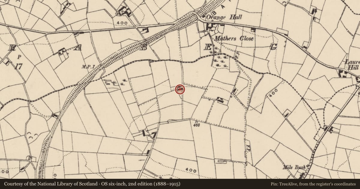 Ordnance Survey six-inch map, 2nd edition (1888–1915) covering the location of Magherabeg Road, Quilly, Armagh City, Banbridge and Craigavon, with a pin at the register's coordinates