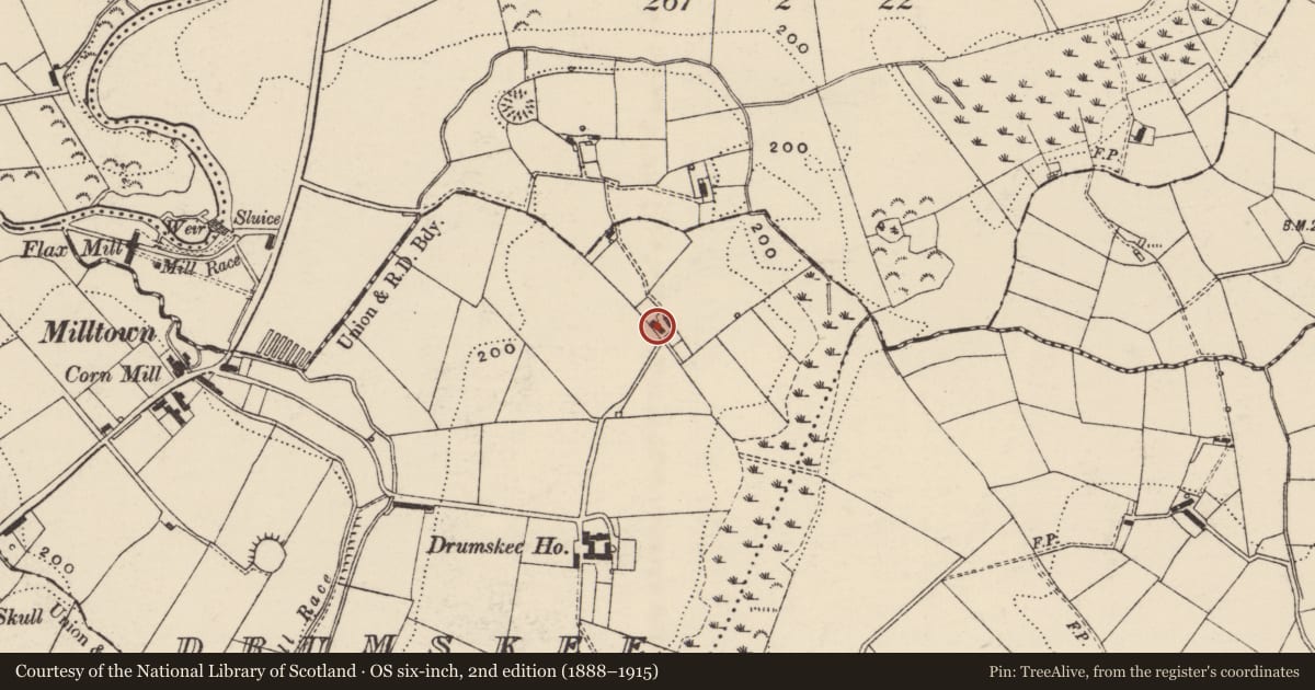Ordnance Survey six-inch map, 2nd edition (1888–1915) covering the location of 83 Blackskull Road, Drumskee, Armagh City, Banbridge and Craigavon, with a pin at the register's coordinates