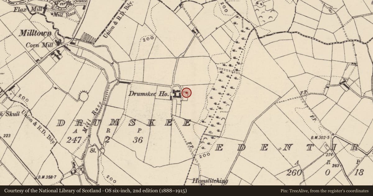 Ordnance Survey six-inch map, 2nd edition (1888–1915) covering the location of Drumskee House, Armagh City, Banbridge and Craigavon, with a pin at the register's coordinates