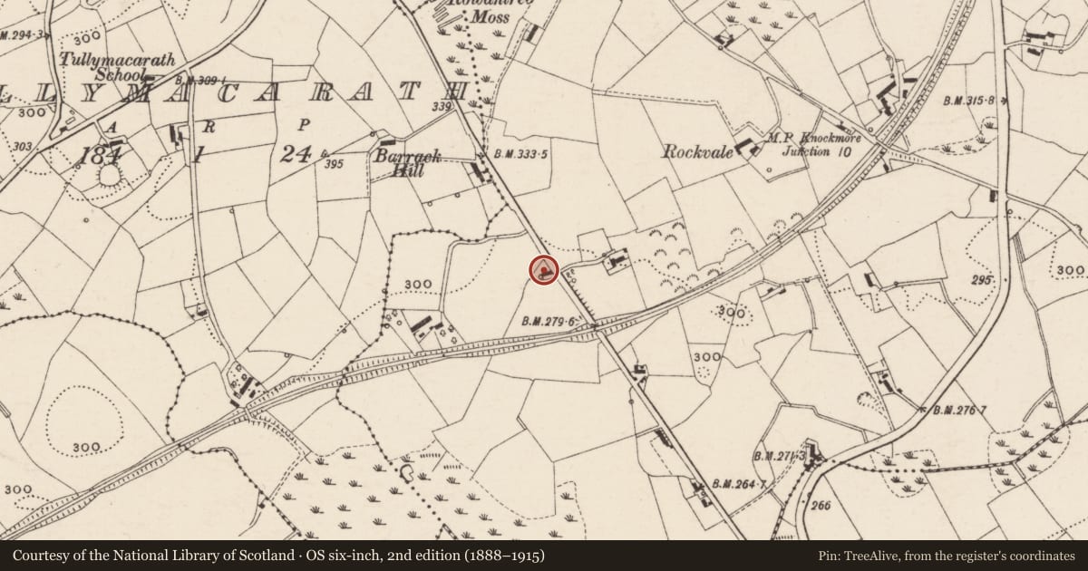 Ordnance Survey six-inch map, 2nd edition (1888–1915) covering the location of 46 Gowdystown Road, Balleny, Armagh City, Banbridge and Craigavon, with a pin at the register's coordinates
