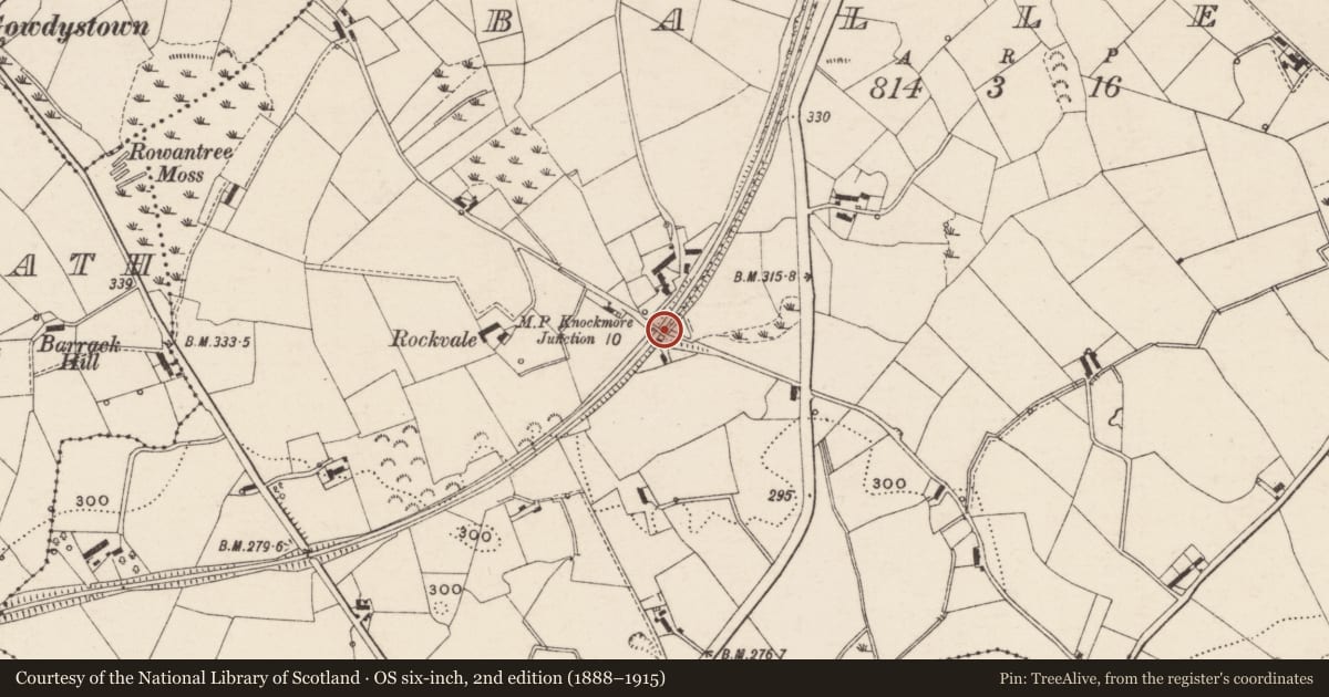 Ordnance Survey six-inch map, 2nd edition (1888–1915) covering the location of Road-over-rail bridge, Balleny, Armagh City, Banbridge and Craigavon, with a pin at the register's coordinates