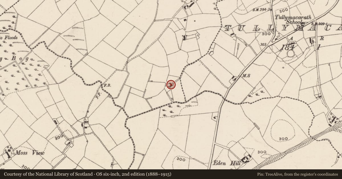 Ordnance Survey six-inch map, 2nd edition (1888–1915) covering the location of Upper Quilly Road, Killysorrell, Armagh City, Banbridge and Craigavon, with a pin at the register's coordinates
