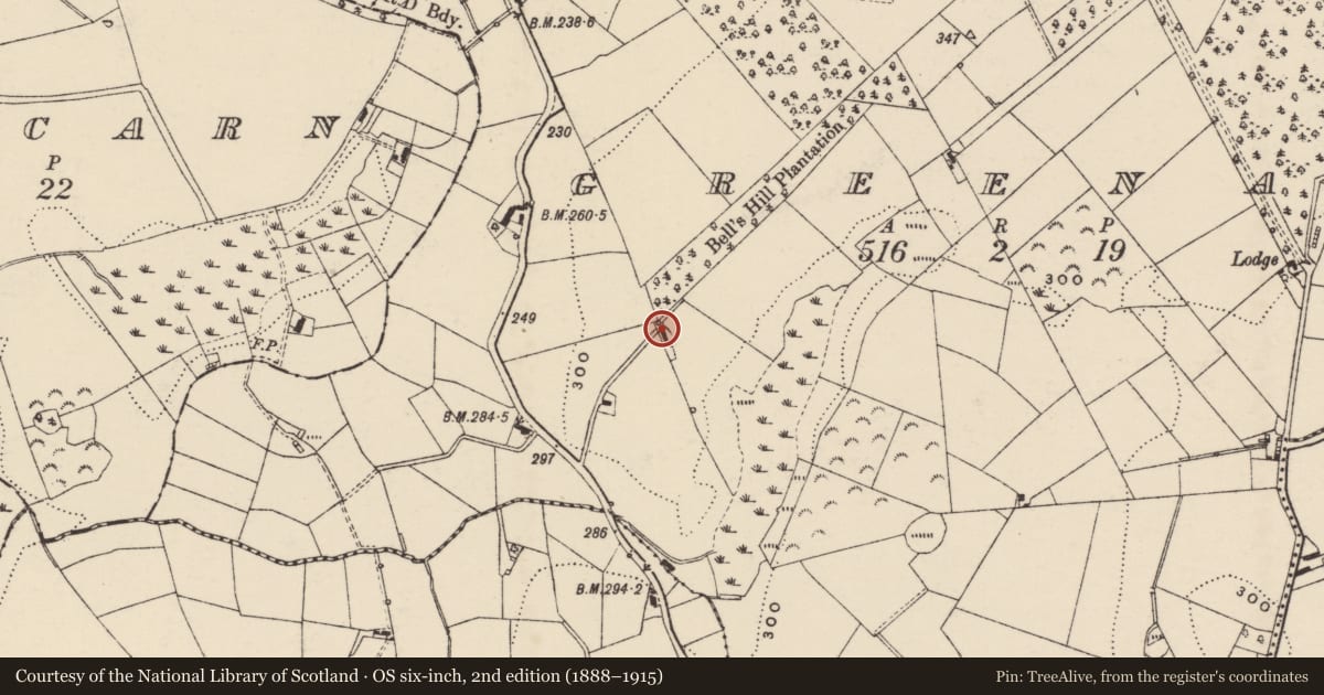 Ordnance Survey six-inch map, 2nd edition (1888–1915) covering the location of 58 Villa Wood Road, Greenan, Armagh City, Banbridge and Craigavon, with a pin at the register's coordinates