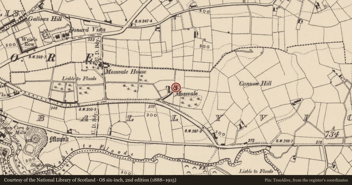 Ordnance Survey six-inch map, 2nd edition (1888–1915) covering the location of 9 Lower Mossvale Road, Armagh City, Banbridge and Craigavon, with a pin at the register's coordinates