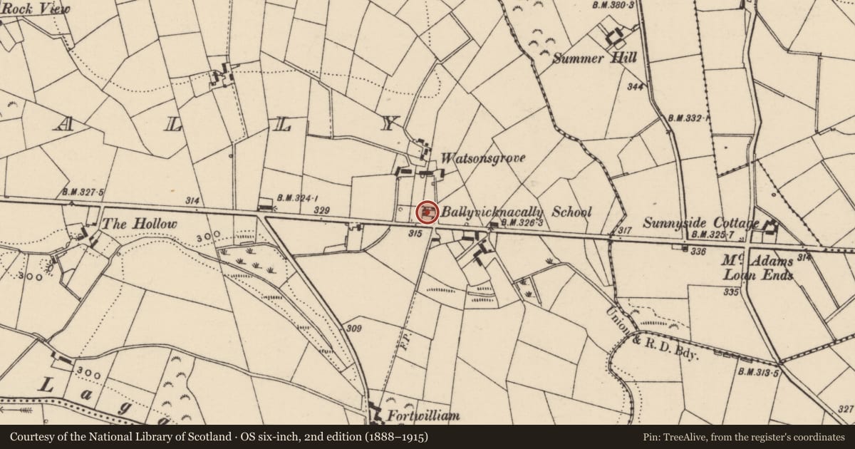 Ordnance Survey six-inch map, 2nd edition (1888–1915) covering the location of Heron Lodge, Lurganbane, Armagh City, Banbridge and Craigavon, with a pin at the register's coordinates