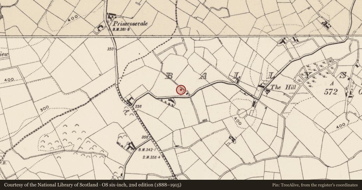 Ordnance Survey six-inch map, 2nd edition (1888–1915) covering the location of Sophia Cottage, Armagh City, Banbridge and Craigavon, with a pin at the register's coordinates