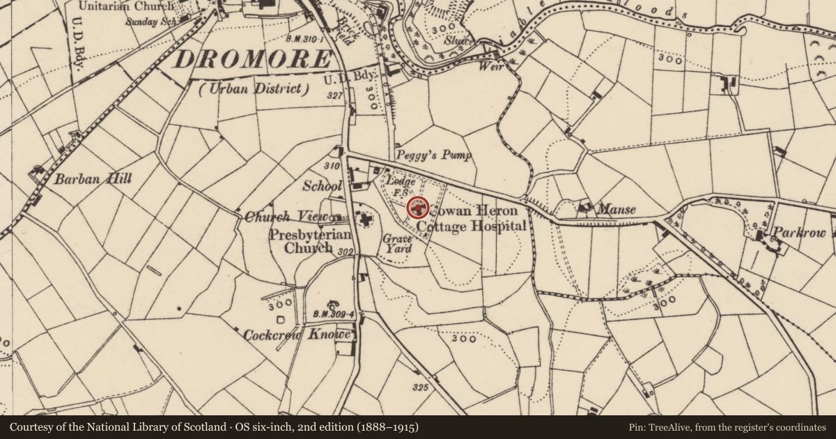 Ordnance Survey six-inch map, 2nd edition (1888–1915) covering the location of Cowan Heron Hospital & Gates, Balllooy, Armagh City, Banbridge and Craigavon, with a pin at the register's coordinates