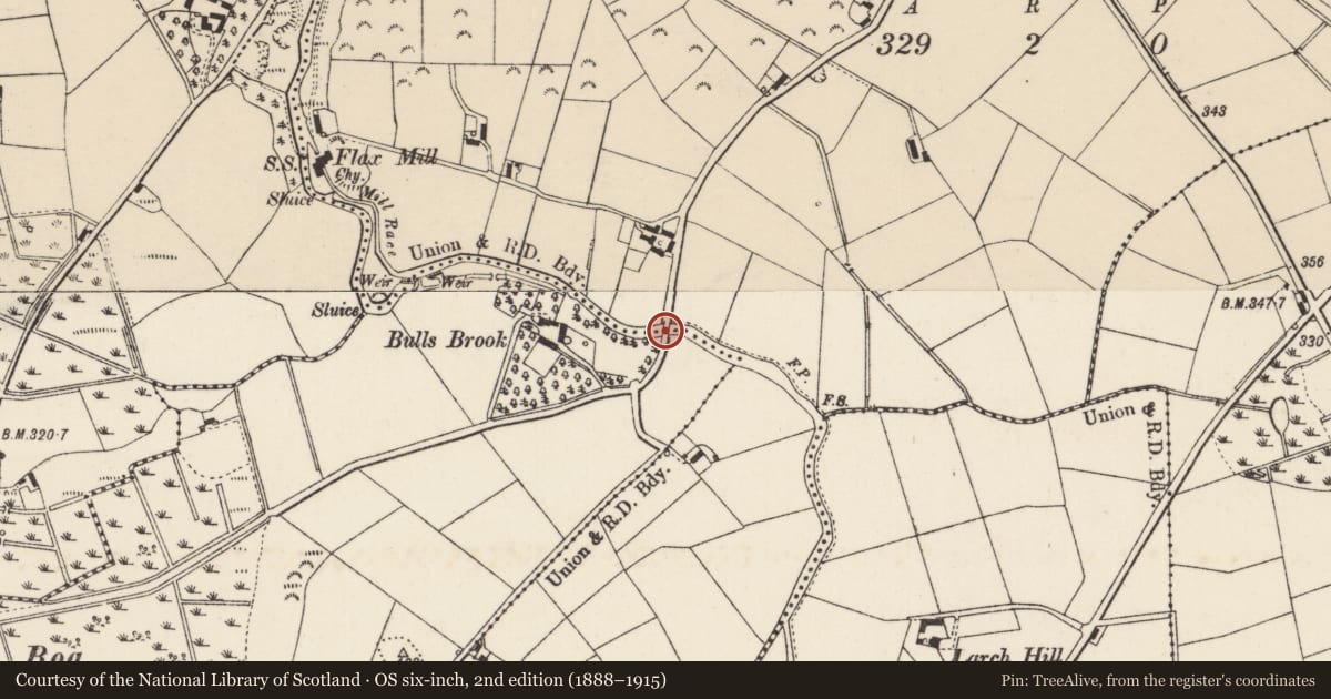 Ordnance Survey six-inch map, 2nd edition (1888–1915) covering the location of Bridge, Lappoges Tullindoney, Armagh City, Banbridge and Craigavon, with a pin at the register's coordinates