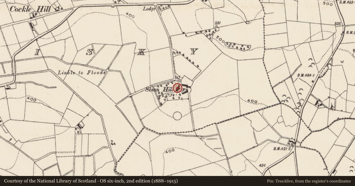 Ordnance Survey six-inch map, 2nd edition (1888–1915) covering the location of Scion Hill, Armagh City, Banbridge and Craigavon, with a pin at the register's coordinates
