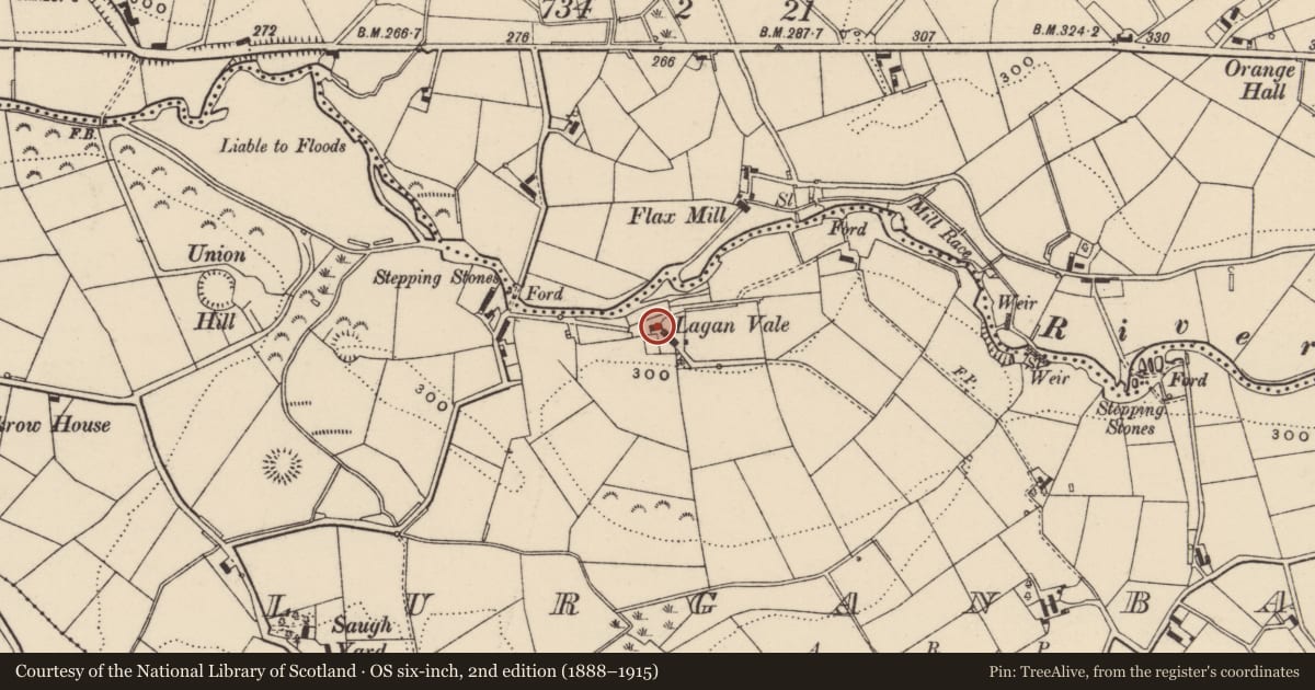 Ordnance Survey six-inch map, 2nd edition (1888–1915) covering the location of 11 Caughey's Road, Lurganbane, Armagh City, Banbridge and Craigavon, with a pin at the register's coordinates