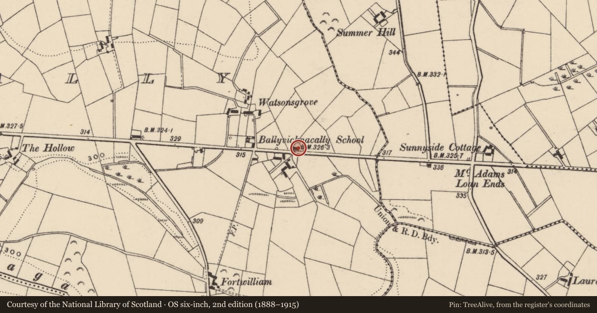 Ordnance Survey six-inch map, 2nd edition (1888–1915) covering the location of 95 Ballynahinch Road, Ballyvicknacally, Armagh City, Banbridge and Craigavon, with a pin at the register's coordinates