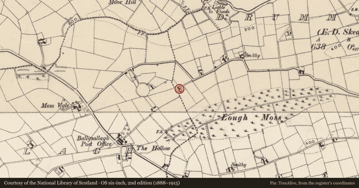 Ordnance Survey six-inch map, 2nd edition (1888–1915) covering the location of Former house to the West of no.10 Drumiller Hill, Ballysallagh, Armagh City, Banbridge and Craigavon, with a pin at the register's coordinates