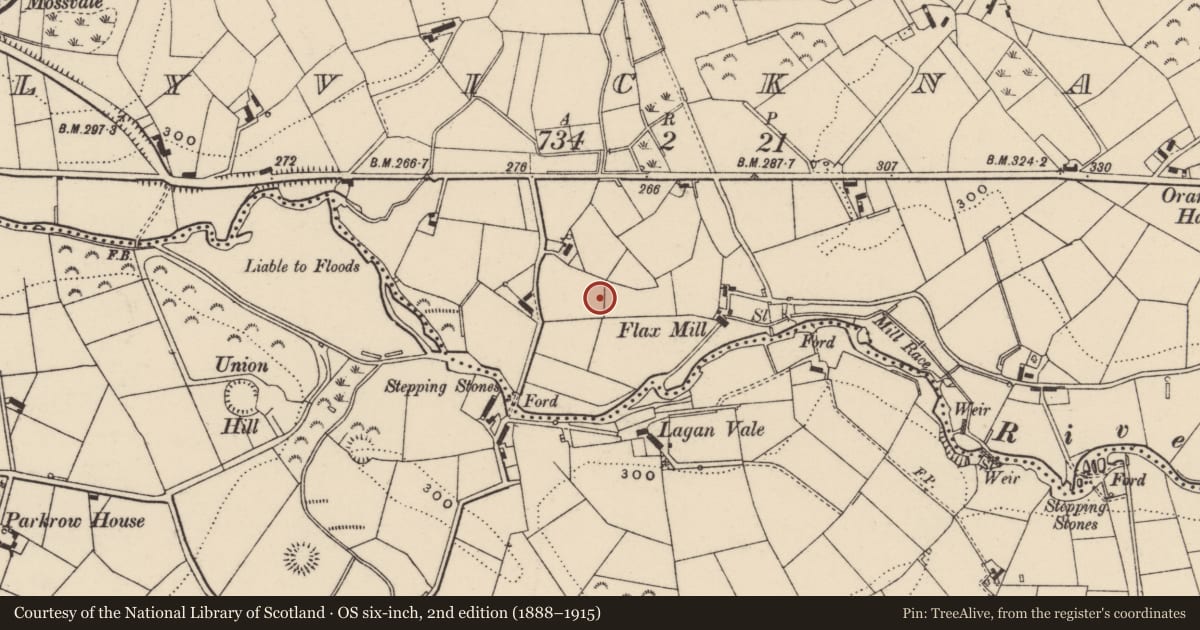Ordnance Survey six-inch map, 2nd edition (1888–1915) covering the location of Flax mill, Ballyvicknacally, Armagh City, Banbridge and Craigavon, with a pin at the register's coordinates