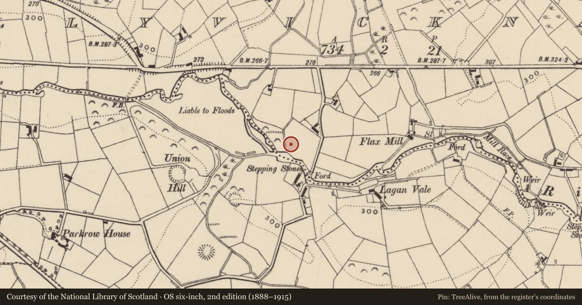 Ordnance Survey six-inch map, 2nd edition (1888–1915) covering the location of Flax mill, Ballyvicknacally, Armagh City, Banbridge and Craigavon, with a pin at the register's coordinates