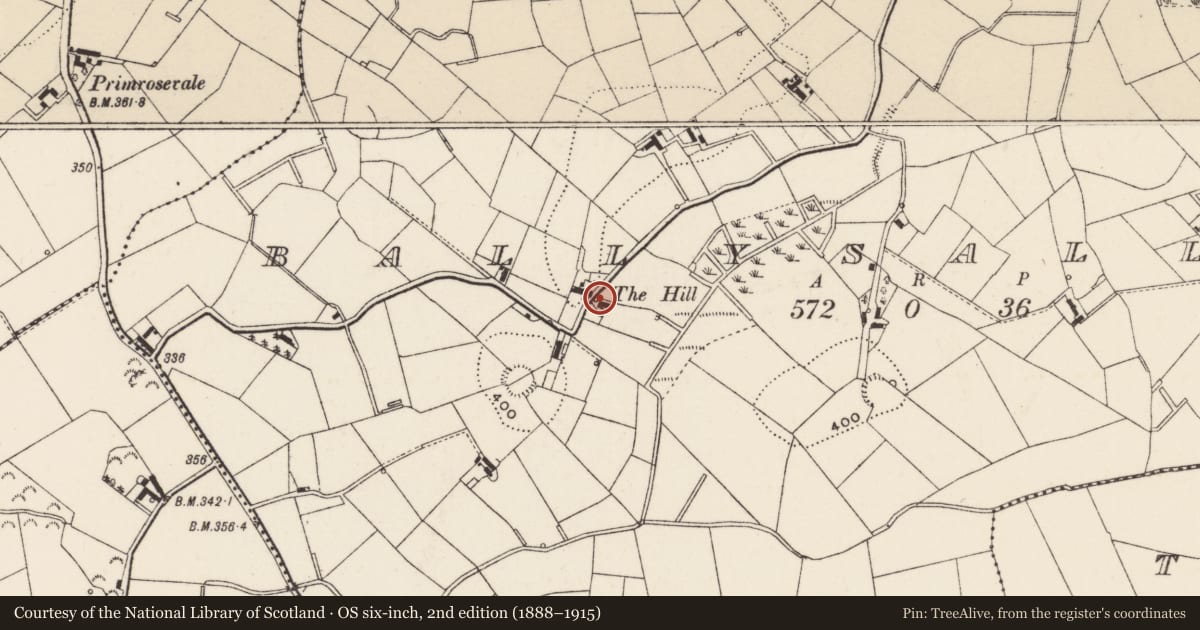 Ordnance Survey six-inch map, 2nd edition (1888–1915) covering the location of 27 Ballysallagh Road, Armagh City, Banbridge and Craigavon, with a pin at the register's coordinates