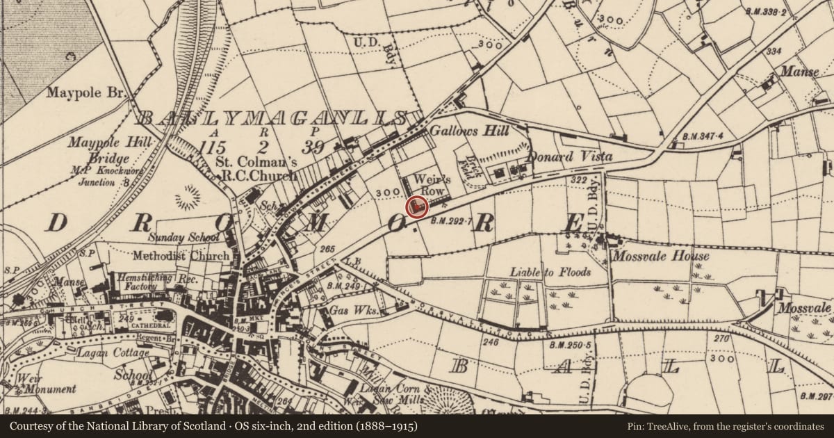 Ordnance Survey six-inch map, 2nd edition (1888–1915) covering the location of Weirs Row, Armagh City, Banbridge and Craigavon, with a pin at the register's coordinates