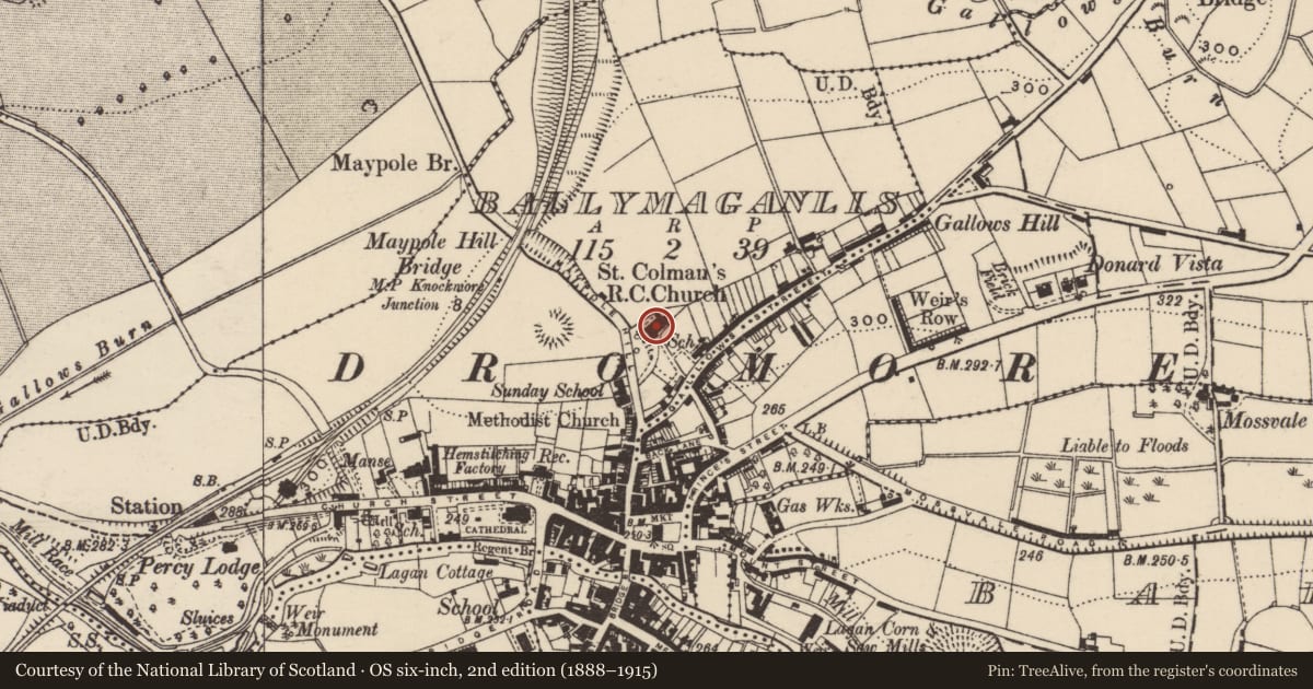 Ordnance Survey six-inch map, 2nd edition (1888–1915) covering the location of St Colmans Church, Ballyeny, Armagh City, Banbridge and Craigavon, with a pin at the register's coordinates
