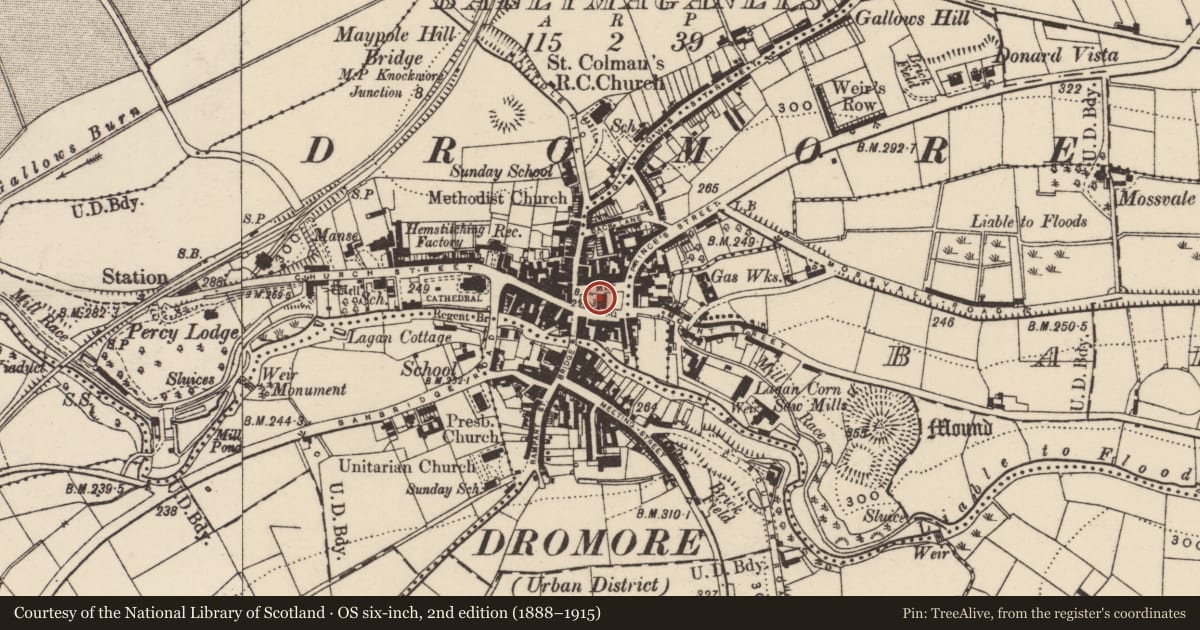 Ordnance Survey six-inch map, 2nd edition (1888–1915) covering the location of Town Hall, Market Square, Dromore, Banbridge, Co Down, BT25 1AW, Armagh City, Banbridge and Craigavon, with a pin at the register's coordinates